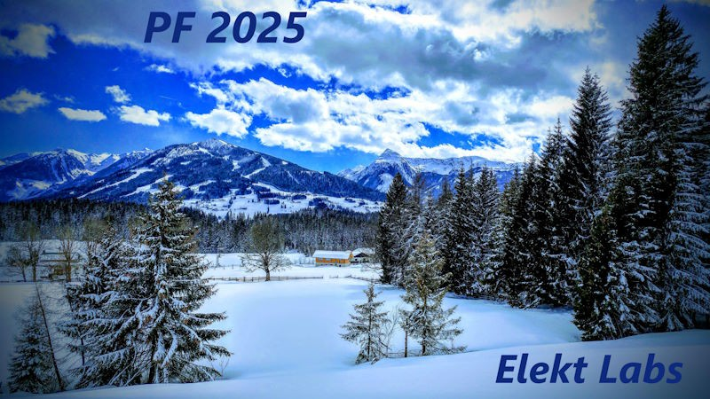 Happy New Year 2025